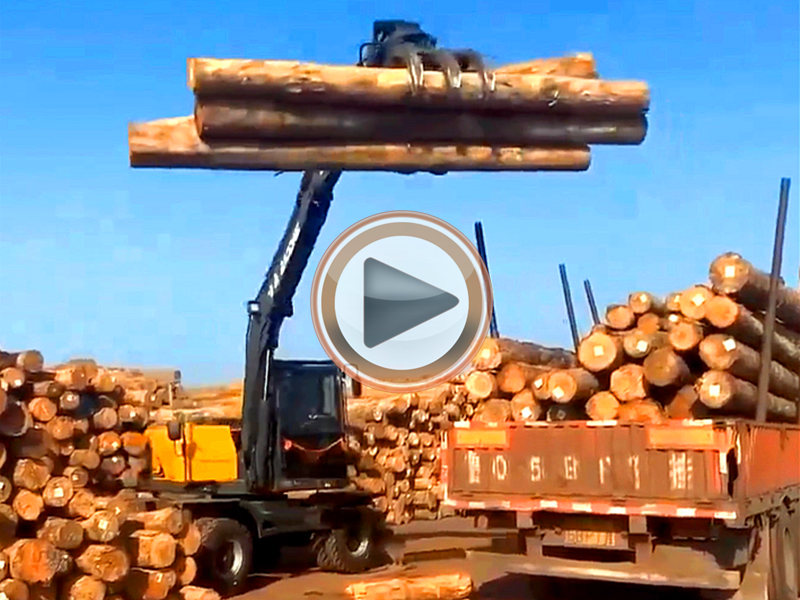 寶鼎95抓木機(jī)新車到家工作操作視頻 寶鼎95抓木機(jī)新車到家工作操作視頻